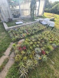 PLASTENIČKA PROIZVODNJA