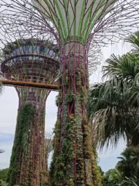 Vazdušni svet – pticu dodati za cover